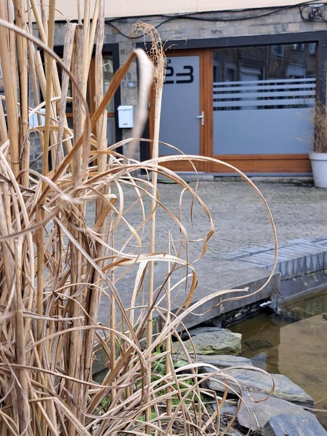 Apartament Le 23 - La-Roche-en-Ardenne Zewnętrze zdjęcie